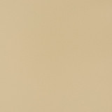 Charlotte Fabric V349 Oat Automotive Vinyl 100% Virgin Vinyl, 30oz. Asia Exceeds 220,000 Wyzenbeek Rubs (Heavy Duty) No Repeat 54 Inches - My Fabric Connection -