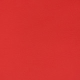 Charlotte Fabric V370 Hot Rod Automotive Vinyl 100% Virgin Vinyl, 30oz. Asia Exceeds 220,000 Wyzenbeek Rubs (Heavy Duty) No Repeat 54 Inches - My Fabric Connection -