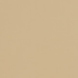 Charlotte Fabric V301 Natural Contract Vinyl 100% Virgin Vinyl, 34oz. Costa Rica Exceeds 200,000 Wyzenbeek Rubs (Heavy Duty) No Repeat 54 Inches - My Fabric Connection -