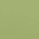 Charlotte Fabric V307 Meadow Contract Vinyl 100% Virgin Vinyl, 34oz. Costa Rica Exceeds 200,000 Wyzenbeek Rubs (Heavy Duty) No Repeat 54 Inches - My Fabric Connection -
