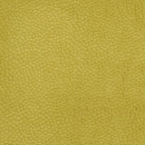 Charlotte Fabric CB900-22 Shades of Spring 100% Woven Polyester Asia Exceeds 120,000 Wyzenbeek Rubs (Heavy Duty) No Repeat 54 Inches - My Fabric Connection -