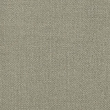 Charlotte Fabric D827 Flannel Contemporary Wovens II 100% Woven Polyester Asia Exceeds 40,000 Wyzenbeek Rubs (Heavy Duty) No Repeat 54 Inches - My Fabric Connection -