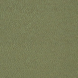 Charlotte Fabric D898 Pebble/Sage Durables III 100% Woven Polyester Made In USA Exceeds 100,000 Wyzenbeek Rubs (Heavy Duty) No Repeat 54 Inches - My Fabric Connection -