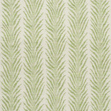 Schumacher Fabric Creeping Fern Moss 75452 Celerie Kemble 27.75" - My Fabric Connection - Schumacher Fabric Creeping Fern Moss 75452 Celerie Kemble 27.75" - My Fabric Connection -