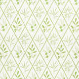 Schumacher Fabric Endimione Leaf 177641 CHARLAP HYMAN & HERRERO See Sample BELGIUM - </p><p>Repeat: Horizontal: 13 1/4" (34CM) and Vertical: 25" (64CM) 54 1/4" (138CM) - My Fabric Connection -