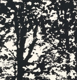 Schumacher Fabric Woodland Black 176213 Good Vibrations See Sample UNITED STATES OF AMERICA MEDIUM DUTY </p><p>Repeat: Horizontal: 27" (69CM) and Vertical: 36" (91CM) 54" (137CM) - My Fabric Connection -