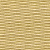 Schumacher Fabric Sorano Chenille Sage 62583 CHROMA See Sample ITALY HEAVY DUTY </p><p>Repeat: Horizontal: 1/4" (1CM) and Vertical: 3/8" (1CM) 55" WIDE (140CM) - My Fabric Connection -