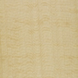 Schumacher Fabric Chloe Sheer Gold 12461 BRILLIANCE I SHEERS See Sample INDIA TO BE DETERMINED </p><p>Repeat: Horizontal: - and Vertical: - 54" WIDE (137CM) - My Fabric Connection -