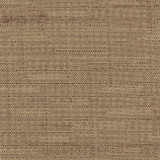 Carole Fabric Banksville Almond Bigelow 100% Polyester Mexico Passes 18,000 Double Rubs Wyzenbeek </p><p>Repeat: None 54" - My Fabric Connection -