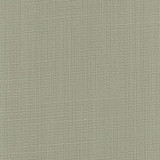 Carole Fabric Narration Beach Glass NARRATOR 100% Polyester Mexico Passes 30,000 Double Rubs Wyzenbeek </p><p>Repeat: None 54" - My Fabric Connection -