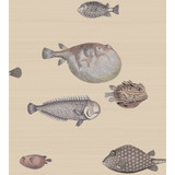 Cole & Son Wallcovering Acquario Taupe COLE & SON FORNASETTI SENZA TEMPO PAPER - 100% United Kingdom Horizontal: 27 and Vertical: 30 27 - My Fabric Connection -