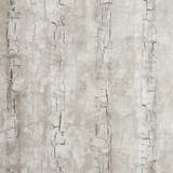 Clarke And Clarke Wallcovering Tree Bark Birch CLARKE & CLARKE REFLECTIONS WOOD PULP - 74%;BINDER - 13%;POLYESTER - 13% United Kingdom Horizontal: 20.875 and Vertical: 10.5 20.875 - My Fabric Connection -