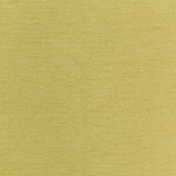 Kravet Smart Fabric 35515-123 INSIDE OUT PERFORMANCE FABRICS POLYESTER - 100% United States HEAVY Horizontal: 0.63 and Vertical: 0.063 57 - My Fabric Connection -