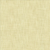 Kasmir Fabric By A Mile Sugarcane See sample 100% Polyester
 INDIA 51,000 Wyzenbeek Double Rubs </p><p>Repeat: Horizontal: N/A and Vertical: N/A 54 - My Fabric Connection -