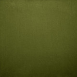 Kasmir Fabric Nampara Fern See sample 100% Polyester
 CHINA 105,000 Wyzenbeek Double Rubs </p><p>Repeat: Horizontal: N/A and Vertical: N/A 58 - My Fabric Connection -