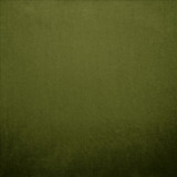 Kasmir Fabric Nampara Green See sample 100% Polyester
 CHINA 105,000 Wyzenbeek Double Rubs </p><p>Repeat: Horizontal: N/A and Vertical: N/A 58 - My Fabric Connection -