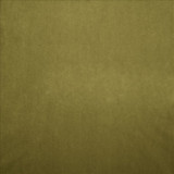 Kasmir Fabric Nampara Olive See sample 100% Polyester
 CHINA 105,000 Wyzenbeek Double Rubs </p><p>Repeat: Horizontal: N/A and Vertical: N/A 58 - My Fabric Connection -