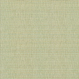 Kasmir Fabric Unity Spring See sample 100% Polyester
 TURKEY 50,000 Wyzenbeek Double Rubs </p><p>Repeat: Horizontal: N/A and Vertical: N/A 55 - My Fabric Connection -