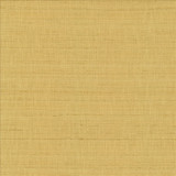 Kasmir Fabric With A View Camel See sample 63% Polyester
37% Cotton
 INDIA 50,000 Wyzenbeek Double Rubs </p><p>Repeat: Horizontal: N/A and Vertical: N/A 54 - My Fabric Connection -