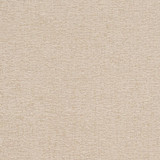 Charlotte Fabric D1100 Beige Crypton Neutrals 100% Woven Polyester China Exceeds 100,000 Wyzenbeek Rubs (Heavy Duty) No Repeat 54 Inches - My Fabric Connection -