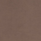 Charlotte Fabric D1485 Taupe Eco Velvet 100% Polyester China Exceeds 200,000 Wyzenbeek Rubs (Heavy Duty) No Repeat 54 Inches - My Fabric Connection -