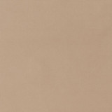 Charlotte Fabric D1462 Fawn Eco Velvet 100% Polyester China Exceeds 200,000 Wyzenbeek Rubs (Heavy Duty) No Repeat 54 Inches - My Fabric Connection -