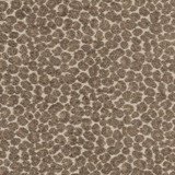 Charlotte Fabric CB900-34 Shades of Neutral 78% Polyester, 22% Cotton China Exceeds 120,000 Wyzenbeek Rubs (Heavy Duty) No Repeat 54 Inches - My Fabric Connection -