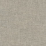 Carole Fabric Athlete Slate Pewter 60% Cotton, 40% Polyester India Passes 50,000 Double Rubs Wyzenbeek Horizontal: 0 and Vertical: 0 55 - My Fabric Connection -