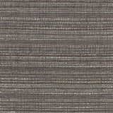 Carole Fabric Emmeline Graphite Lydia Ii 100% Polyester India N/A Horizontal: 0 and Vertical: 0 54 - My Fabric Connection -