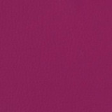 Spradling Fabric Dolce Fushia DOL-6720 See sample 100% Polyurethane USA or Imported Water-based cleaning agents and foam may be used for cleaning. Cleaning by a professional cleaning service is recommended. </p><p>Repeat: Horizontal: and Vertical: 54" - My Fabric Connection - Spradling Fabric Dolce Fushia DOL-6720 See sample 100% Polyurethane USA or Imported Water-based cleaning agents and foam may be used for cleaning. Cleaning by a professional cleaning service is recommended. </p><p>Repeat: Horizontal: and Vertical: 54" - My Fabric Connection -