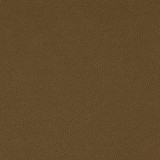 Nassimi Fabric Tolstoy Timber WTL-016 See sample 100% Polyurethane USA or Imported Water-based cleaning agents and foam may be used for cleaning. Cleaning by a professional cleaning service is recommended. </p><p>Repeat: Horizontal: and Vertical: 54" - My Fabric Connection -