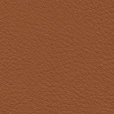 Nassimi Fabric Verve Mustang EVE-021 See sample 100% Polyurethane USA or Imported Water-based cleaning agents and foam may be used for cleaning. Cleaning by a professional cleaning service is recommended. </p><p>Repeat: Horizontal: and Vertical: 54" - My Fabric Connection -