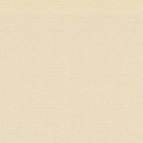 RM CoCo Fabric Keepsakes Parchment Keepsakes IV 100% Polyester See Sample 0 Horizontal: 0 and Vertical: 0 54 - My Fabric Connection -