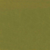 RM CoCo Fabric No Nonsense Apple Color My World - Water 55% Polyester 45% Nylon See Sample 0 Horizontal: 0 and Vertical: 0 59 - My Fabric Connection -