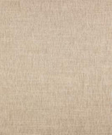 Barrow Fabric Ruppe 11011 M10174 1907 95% POLYESTER (S)
5% POLYESTER (F) CHINA 42,000 DOUBLE RUBS </p><p>Repeat: Horizontal: and Vertical: 54" Minimum - My Fabric Connection -