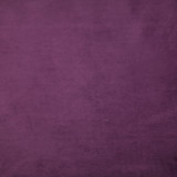 Europatex Fabric Plush - 29 Plush 100% Polyester China See Sample Horizontal: N/A and Vertical: N/A 55.00 inches  - My Fabric Connection -