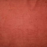 Europatex Fabric Plush - 30 Plush 100% Polyester China See Sample Horizontal: N/A and Vertical: N/A 55.00 inches  - My Fabric Connection -