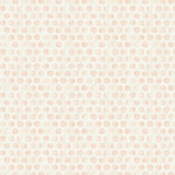 Stout Fabric Garfield 1 Peony COMFORTABLE LIVING BLUSH/GINGER 100%COT CHINA FLAME RETARDANT-N.F.P.A. 260A CLASS 1 CATB 117-2013 WYZENBEEK 40 000 DOUBLE RUB WEAR TEST (HEAVY DUTY) Horizontal: 13.5 and Vertical: 13.5 54 in - My Fabric Connection - Stout Fabric Garfield 1 Peony COMFORTABLE LIVING BLUSH/GINGER 100%COT CHINA FLAME RETARDANT-N.F.P.A. 260A CLASS 1 CATB 117-2013 WYZENBEEK 40 000 DOUBLE RUB WEAR TEST (HEAVY DUTY) Horizontal: 13.5 and Vertical: 13.5 54 in - My Fabric Connection -
