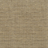 Sunbrella Fabric Mesquite 3 Driftwood SUNRISE SOLIDS BY SUNBRELLA 98%SN 2%POL USA FLAME RETARDANT-CA BULLETIN 117-SECTION E WYZENBEEK 12 000 DOUBLE RUB WEAR TEST (MEDIUM DUTY) Horizontal: 0 and Vertical: 0 54 in - My Fabric Connection - Sunbrella Fabric Mesquite 3 Driftwood SUNRISE SOLIDS BY SUNBRELLA 98%SN 2%POL USA FLAME RETARDANT-CA BULLETIN 117-SECTION E WYZENBEEK 12 000 DOUBLE RUB WEAR TEST (MEDIUM DUTY) Horizontal: 0 and Vertical: 0 54 in - My Fabric Connection -