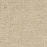 Charlotte Fabric D1581 Beach Eco Plains 100% Polypropylene Made In USA Exceeds 60,000 Wyzenbeek Rubs (Heavy Duty) </p><p>Repeat: 54 Inches - My Fabric Connection -