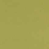 Charlotte Fabric D1768 Spring Classic Velvet 100% Woven Polyester Asia Exceeds 200,000 Wyzenbeek Rubs (Heavy Duty) </p><p>Repeat: 54 Inches - My Fabric Connection -