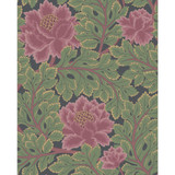 Cole & Son Wallcovering Aurora Rose/Forest/Char COLE & SON PEARWOOD PAPER - 100% United Kingdom Horizontal: 20.5 and Vertical: 25.5 20.5 - My Fabric Connection -