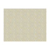 Kravet Couture Fabric Electra Luminaire MICHAEL BERMAN II COLLECTION POLYESTER - 75%;SILK - 25% India Horizontal: 4.5 and Vertical: 7 54.5 - My Fabric Connection -