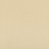 Kravet Contract Fabric Madison Velvet Papyrus POLYESTER - 100% Turkey HEAVY Horizontal: and Vertical: 55 - My Fabric Connection -