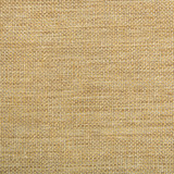 Kravet Contract Fabric 4458-414 POLYESTER - 100% China HEAVY Horizontal: and Vertical: 54 - My Fabric Connection -