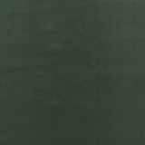 G P & J Baker Fabric Baker House Velvet Eucalyptus BAKER HOUSE VELVET COTTON - 89%;POLYESTER - 11% Italy HEAVY Horizontal: and Vertical: 55.16 - My Fabric Connection -