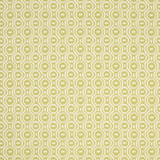 Clarke And Clarke Fabric Gotska Olive CLARKE & CLARKE WILDERNESS POLYESTER - 75%;COTTON - 25% India HEAVY Horizontal: 3.35 and Vertical: 3.15 51 - My Fabric Connection -