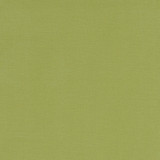 Clarke And Clarke Fabric Alora Apple CLARKE & CLARKE ALORA COTTON - 100% Spain HEAVY Horizontal: 0 and Vertical: 0 54 - My Fabric Connection -