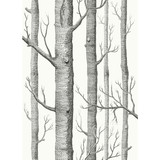 Cole & Son Fabric Woods Blk Wht COLE & SON CONTEMPORARY FABRICS LINEN - 61%;COTTON - 29%;NYLON - 10% Italy HEAVY Horizontal: 26.75 and Vertical: 37.4 53.5 - My Fabric Connection -
