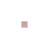 Clarke And Clarke Fabric Trawler Red CLARKE & CLARKE LAND & SEA COTTON - 100% Turkey MEDIUM Horizontal: 13.5 and Vertical: 12.4 54 - My Fabric Connection -